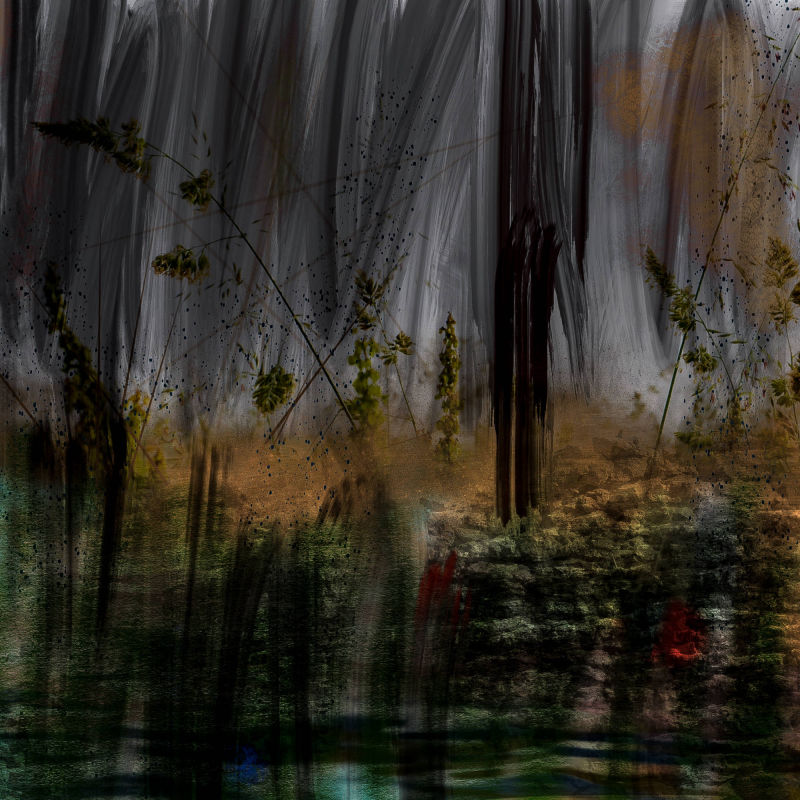 Gräser - Reinhard Dedecek