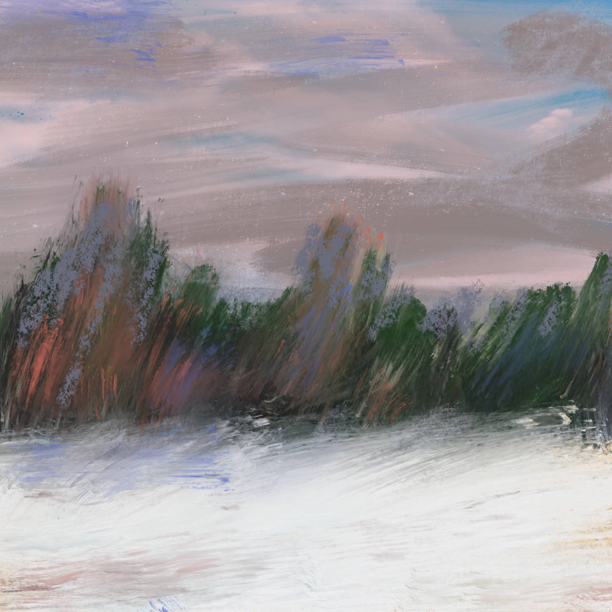 Winter  - Reinhard Dedecek