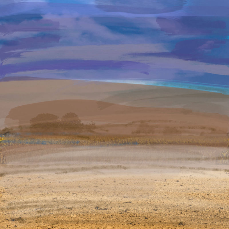 Wüste - Reinhard Dedecek