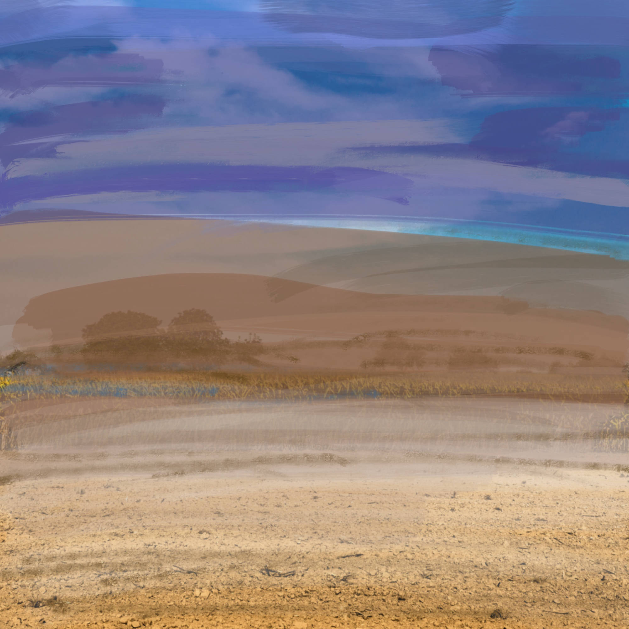 Wüste - Reinhard Dedecek